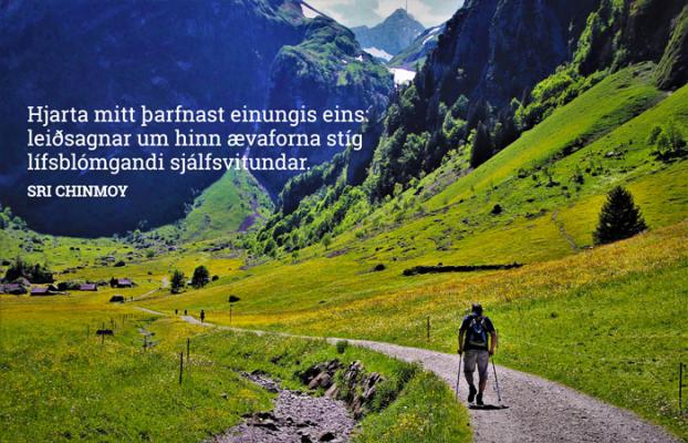 Hjarta mitt þarfnast einungis eins: leiðsagnar um hinn ævaforna stíg lífsblómgandi sjálfsvitundar.